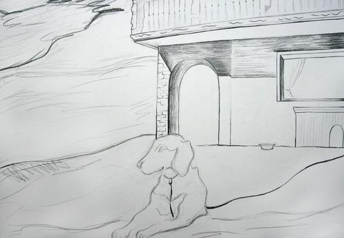 portfolio-image